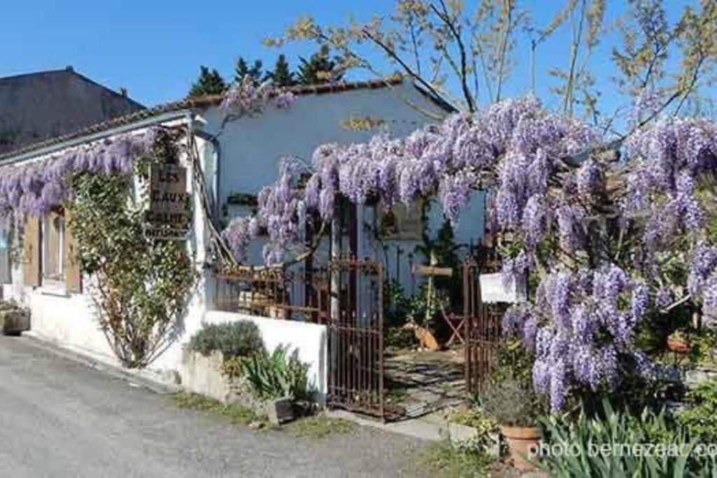 Maison Coquelicots - 4 Personnes - Jardin Mornac-sur-Seudre Eksteriør bilde